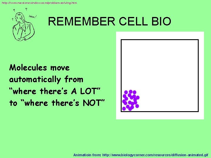 http: //www. newtonswindow. com/problem-solving. htm REMEMBER CELL BIO Molecules move automatically from “where there’s