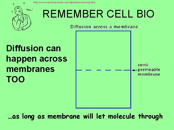 http: //www. newtonswindow. com/problem-solving. htm REMEMBER CELL BIO Diffusion can happen across membranes TOO