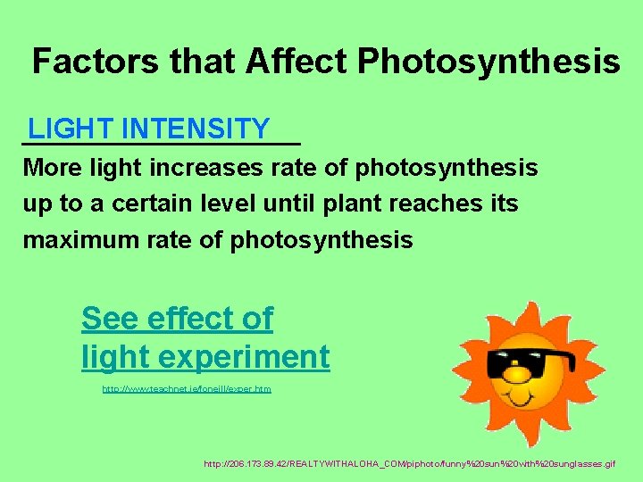 Factors that Affect Photosynthesis LIGHT INTENSITY __________ More light increases rate of photosynthesis up