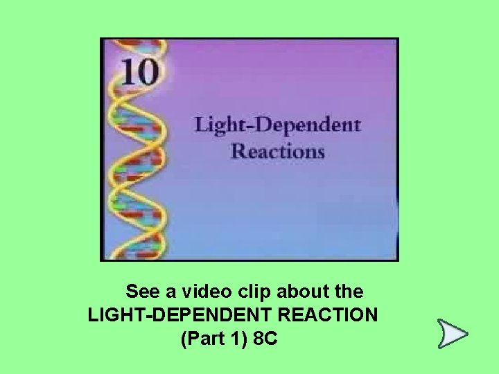 See a video clip about the LIGHT-DEPENDENT REACTION (Part 1) 8 C 