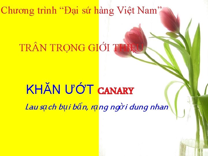 Chương trình “Đại sứ hàng Việt Nam” TR N TRỌNG GIỚI THIỆU KHĂN ƯỚT