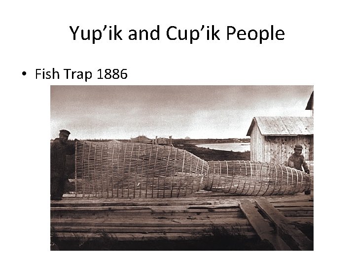 Yup’ik and Cup’ik People • Fish Trap 1886 