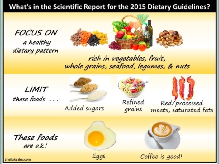 Nutritional recommendations 