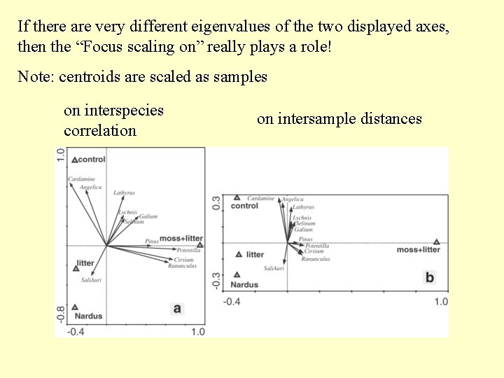 If there are very different eigenvalues of the two displayed axes, then the “Focus