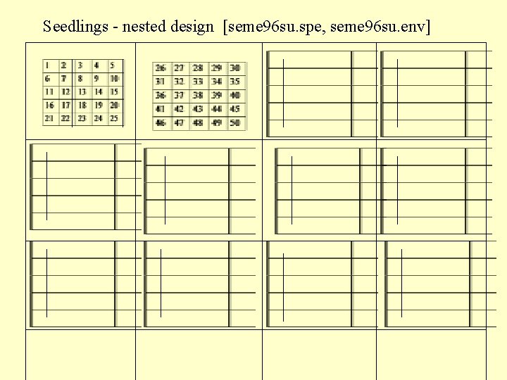 Seedlings - nested design [seme 96 su. spe, seme 96 su. env] 