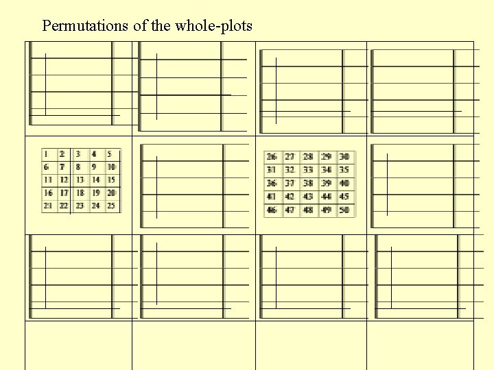 Permutations of the whole-plots 