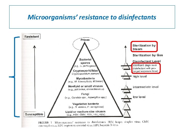 Microorganisms’ resistance to disinfectants 
