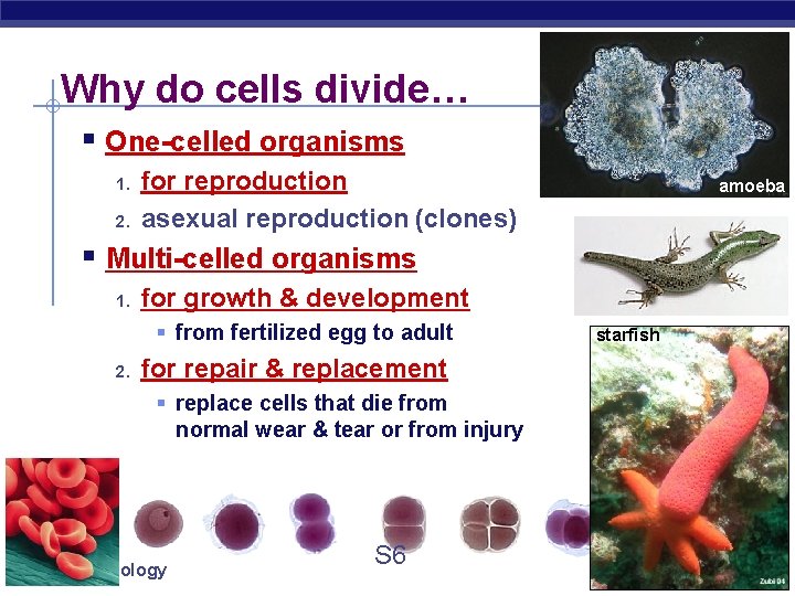 Biology is the only subject in which multiplication