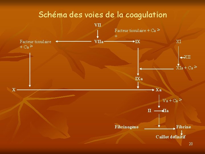 Schéma des voies de la coagulation VII Facteur tissulaire + Ca 2+ VIIa Facteur