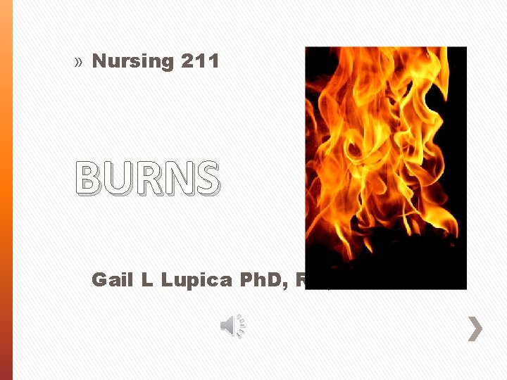 » Nursing 211 BURNS Gail L Lupica Ph. D, RN, CNE 