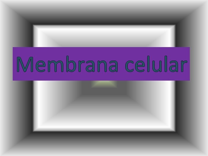 Membrana celular 