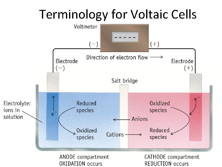 Terminology for Voltaic Cells 