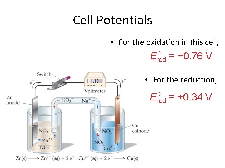 Cell Potentials • For the oxidation in this cell, = − 0. 76 V