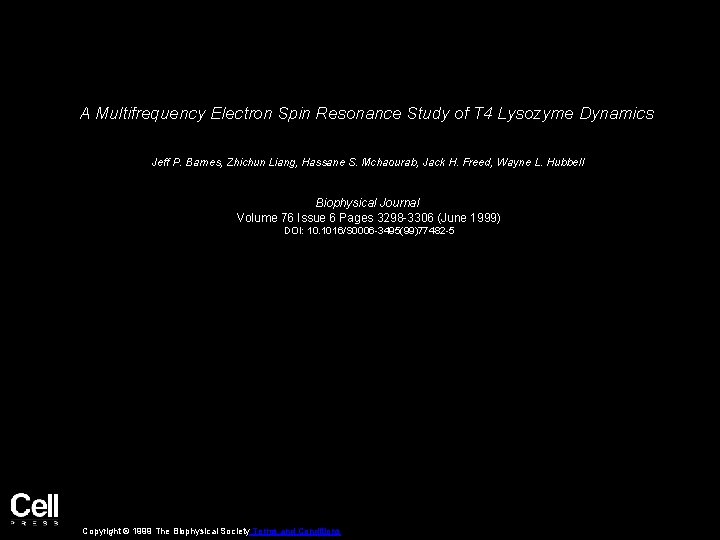 A Multifrequency Electron Spin Resonance Study of T 4 Lysozyme Dynamics Jeff P. Barnes,