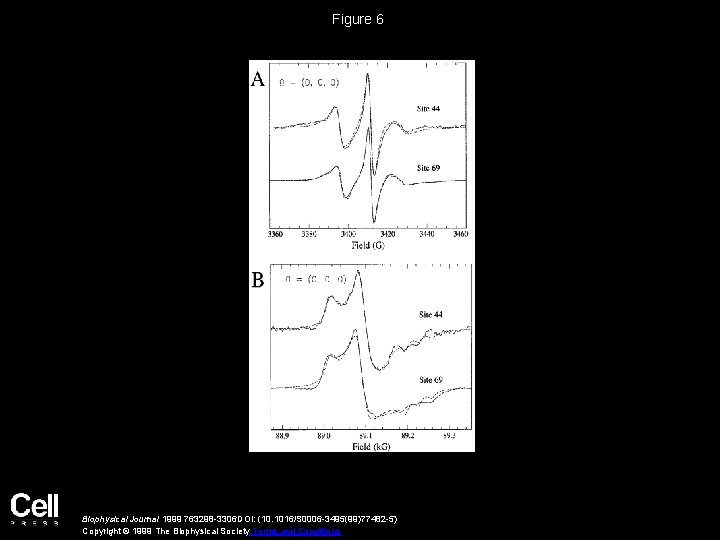 Figure 6 Biophysical Journal 1999 763298 -3306 DOI: (10. 1016/S 0006 -3495(99)77482 -5) Copyright