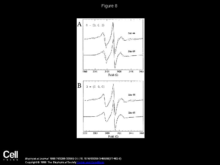 Figure 8 Biophysical Journal 1999 763298 -3306 DOI: (10. 1016/S 0006 -3495(99)77482 -5) Copyright