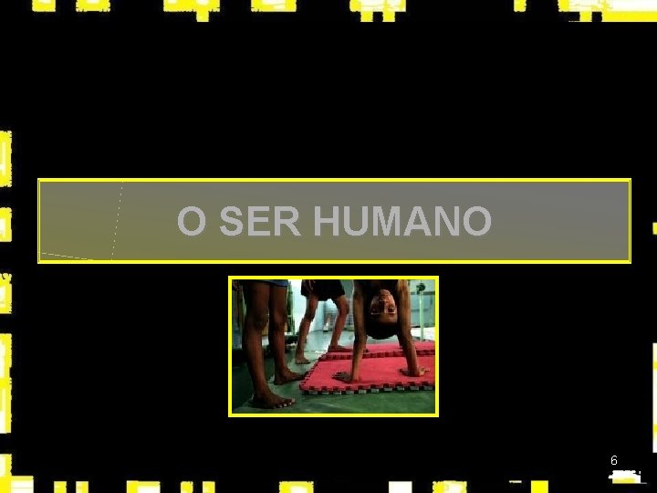 O SER HUMANO 6 