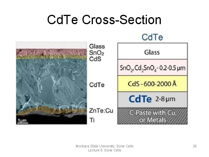 Cd. Te Cross-Section Montana State University: Solar Cells Lecture 6: Solar Cells 28 