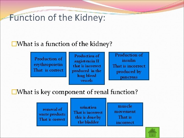 Function of the Kidney: �What is a function of the kidney? Production of erythropoietin