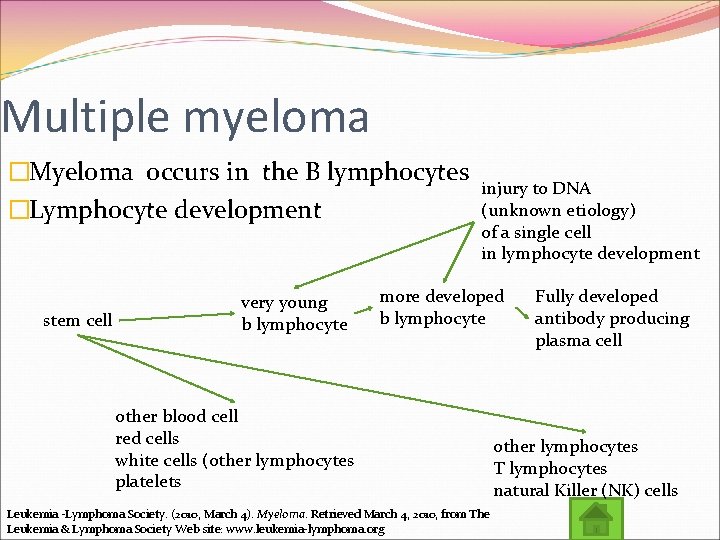 Multiple myeloma �Myeloma occurs in the B lymphocytes �Lymphocyte development stem cell very young