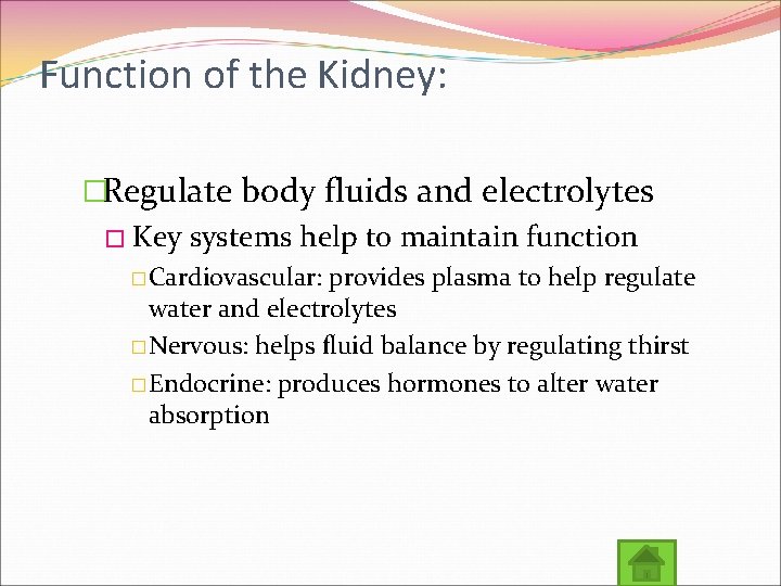 Function of the Kidney: �Regulate body fluids and electrolytes � Key systems help to