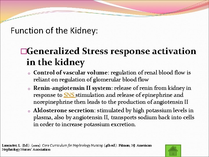 Function of the Kidney: �Generalized Stress response activation in the kidney o o o