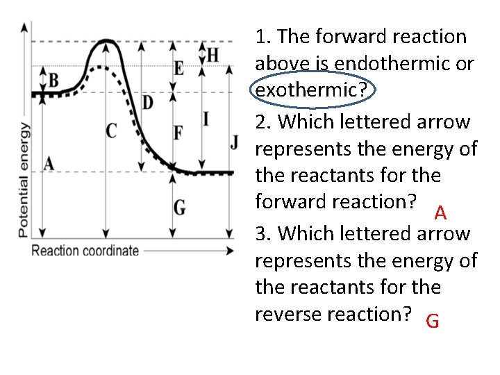 1. The forward reaction above is endothermic or exothermic? 2. Which lettered arrow represents