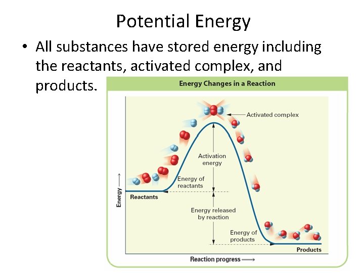 Potential Energy • All substances have stored energy including the reactants, activated complex, and