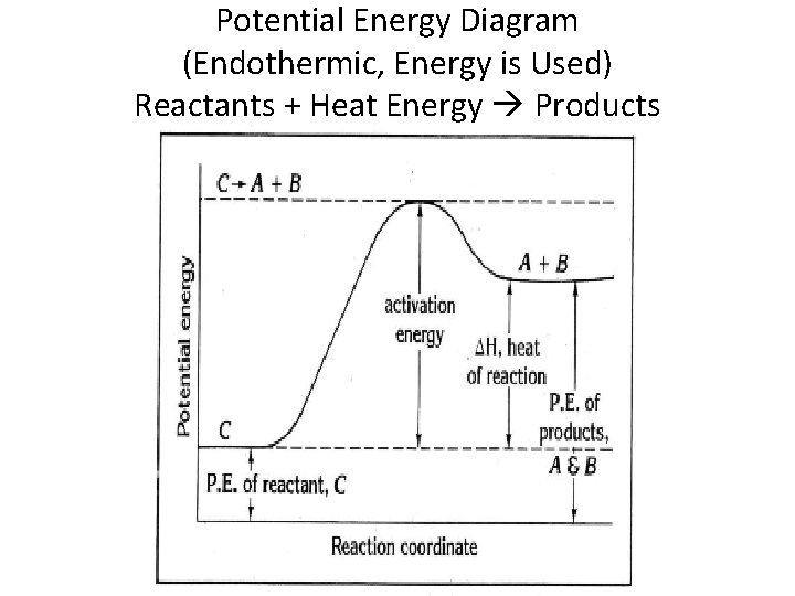 Potential Energy Diagram (Endothermic, Energy is Used) Reactants + Heat Energy Products 