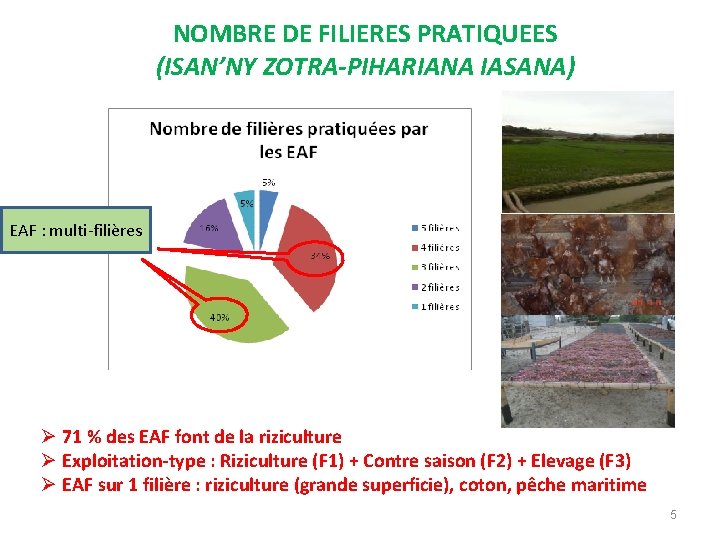 NOMBRE DE FILIERES PRATIQUEES (ISAN’NY ZOTRA-PIHARIANA IASANA) EAF : multi-filières Ø 71 % des