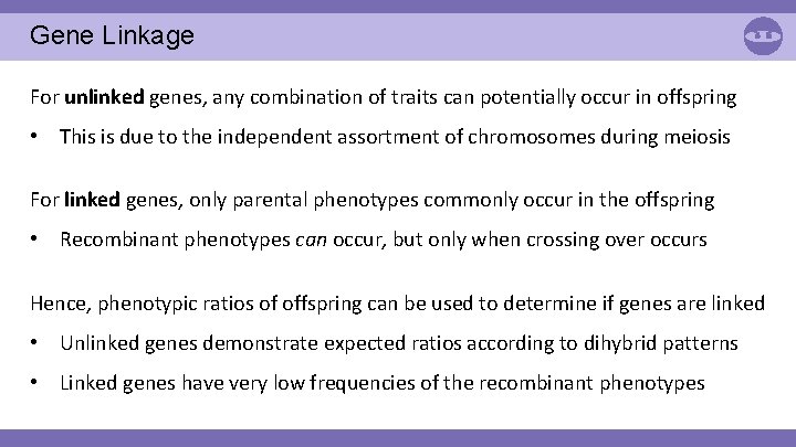 Gene Linkage For unlinked genes, any combination of traits can potentially occur in offspring