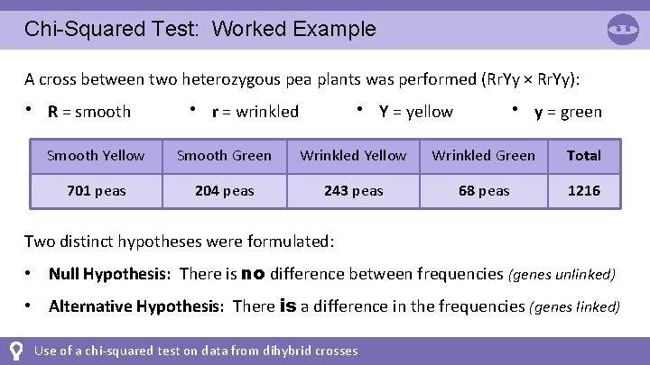 Chi-Squared Test: Worked Example A cross between two heterozygous pea plants was performed (Rr.
