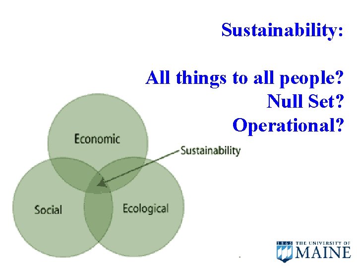 Sustainability: All things to all people? Null Set? Operational? 