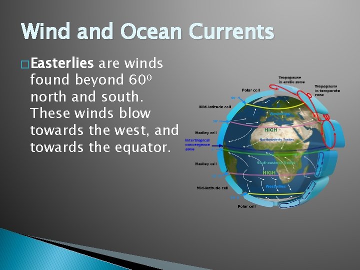 Wind and Ocean Currents � Easterlies are winds found beyond 60⁰ north and south.