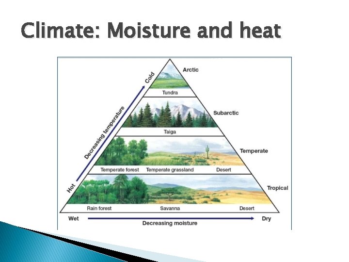 Climate: Moisture and heat 