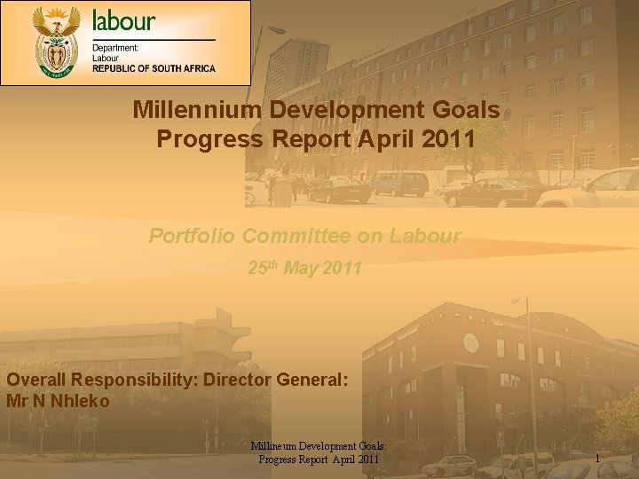 Millennium Development Goals Progress Report April 2011 Portfolio Committee on Labour 25 th May