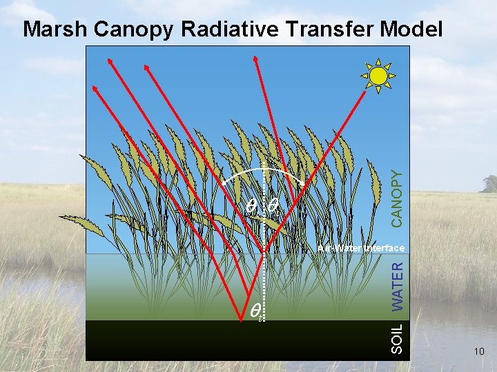  i CANOPY Marsh Canopy Radiative Transfer Model t SOIL WATER Air-Water Interface 10