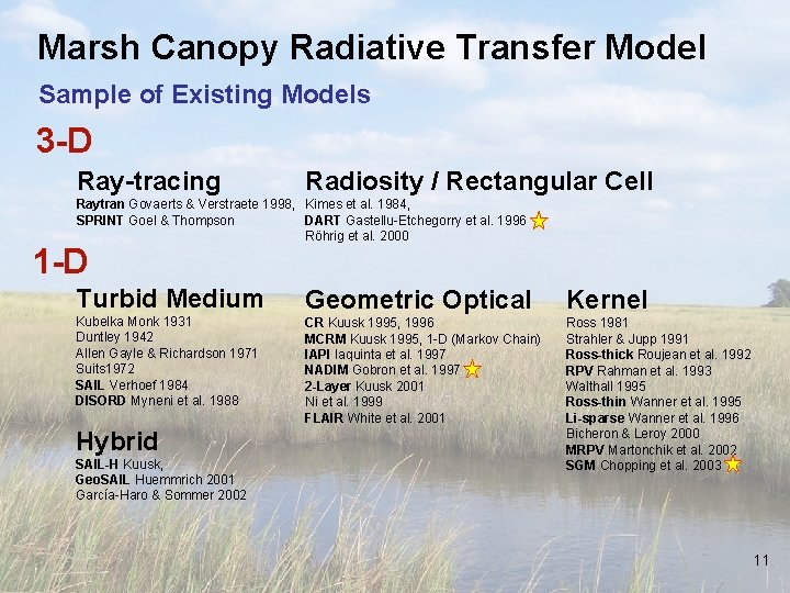Marsh Canopy Radiative Transfer Model Sample of Existing Models 3 -D Ray-tracing Radiosity /