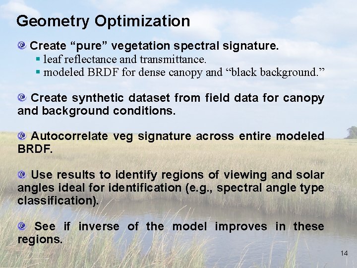 Geometry Optimization Create “pure” vegetation spectral signature. § leaf reflectance and transmittance. § modeled