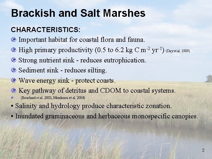 Brackish and Salt Marshes CHARACTERISTICS: Important habitat for coastal flora and fauna. High primary