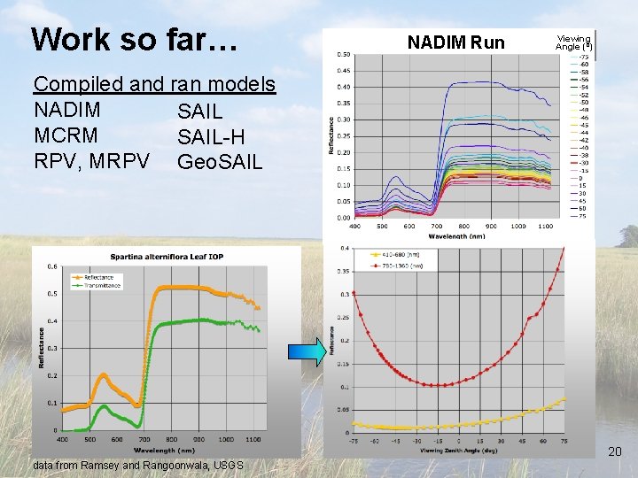 Work so far… NADIM Run Viewing Angle (º) Compiled and ran models NADIM SAIL