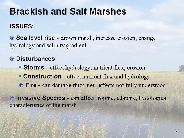Brackish and Salt Marshes ISSUES: Sea level rise - drown marsh, increase erosion, change