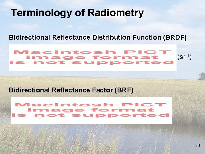 Terminology of Radiometry Bidirectional Reflectance Distribution Function (BRDF) (sr-1) Bidirectional Reflectance Factor (BRF) 30