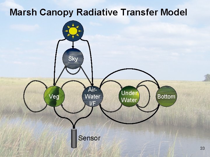 Marsh Canopy Radiative Transfer Model Sky Veg Air. Water I/F Under Water Bottom Sensor