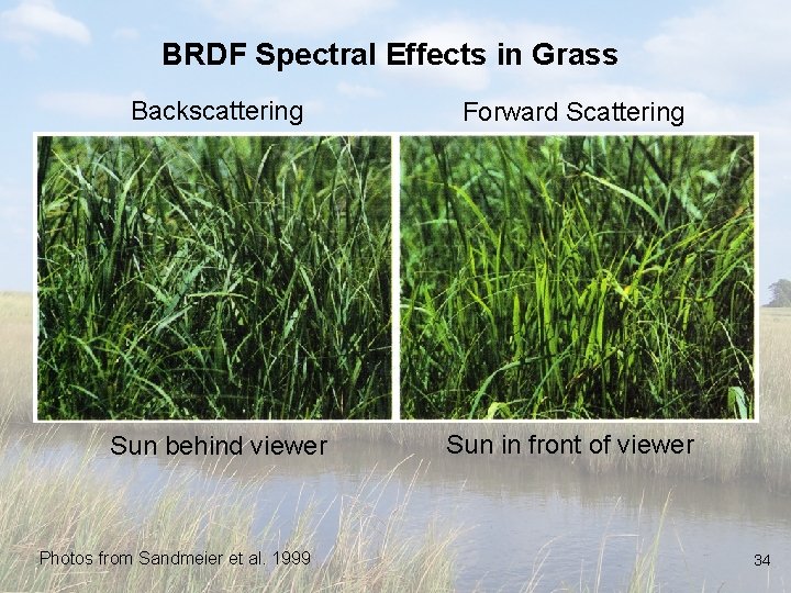 BRDF Spectral Effects in Grass Backscattering Forward Scattering Sun behind viewer Sun in front