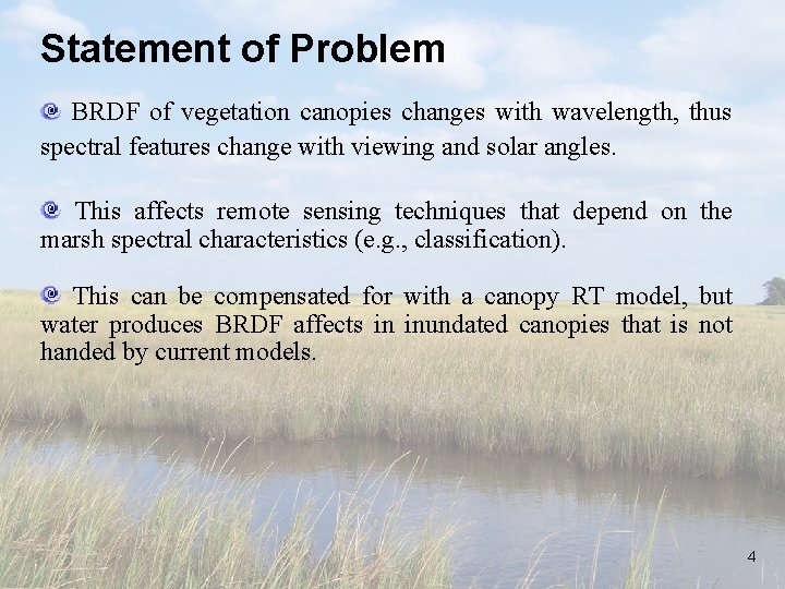 Statement of Problem BRDF of vegetation canopies changes with wavelength, thus spectral features change
