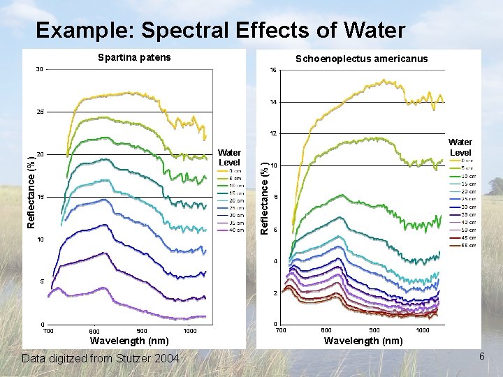 Example: Spectral Effects of Water Spartina patens Schoenoplectus americanus 30 16 14 25 Water