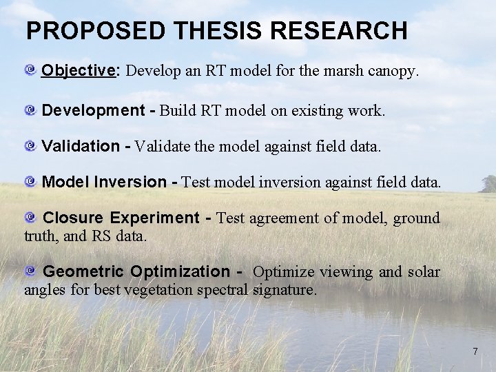 PROPOSED THESIS RESEARCH Objective: Develop an RT model for the marsh canopy. Development -