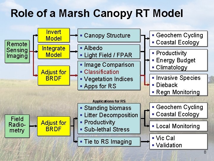 Role of a Marsh Canopy RT Model Remote Sensing Imaging Invert Model § Canopy