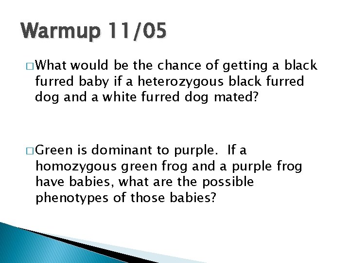 Warmup 11/05 � What would be the chance of getting a black furred baby
